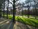  après midi de janvier, jardin du Luxembourg